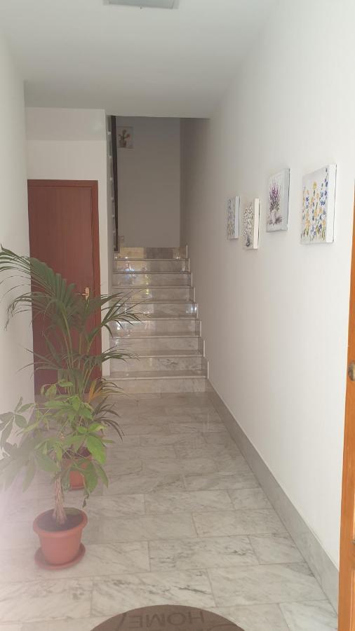 Casa Vacanze San Martino 科莱奥内 外观 照片